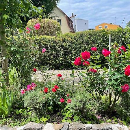 Fewo Apartment Lake Of Constance FDH Exterior foto